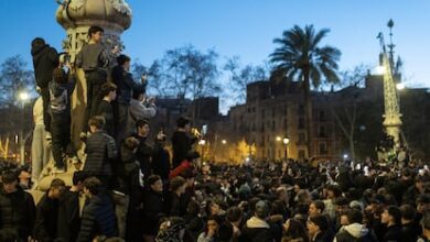 Четыре задержанных и хаос: массовая встреча therians в Барселоне вышла из-под контроля RUSSPAIN.COM