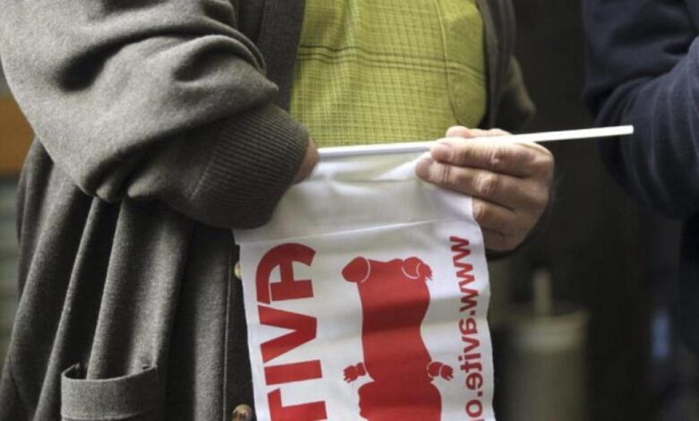 Conflicto interno en AVITE abogado exige parte de las compensaciones a víctimas de talidomida