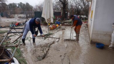 Французский стартап Exotec меняет правила игры в логистике: ставка на роботов и ИИ RUSSPAIN.COM