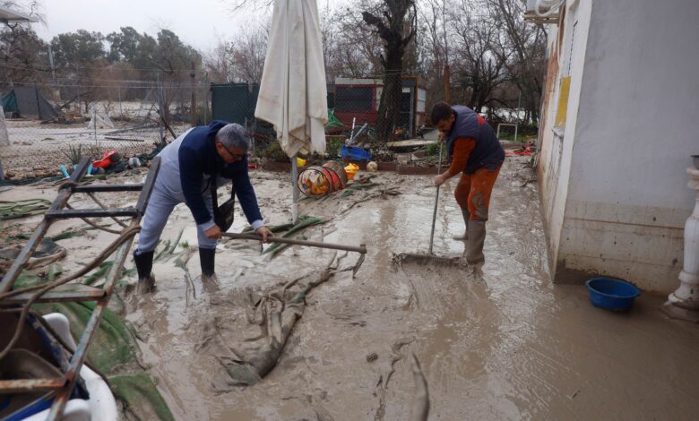 El startup francés Exotec revoluciona la logística con una apuesta por robots e inteligencia artificial