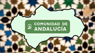 Неожиданный взлет бизнеса в Андалусии: новые лидеры и вызовы региона RUSSPAIN.COM