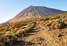 Almost a thousand underground tremors in one night on Tenerife surprise scientists
