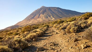 Почти тысяча подземных толчков за ночь на Тенерифе удивили ученых RUSSPAIN.COM