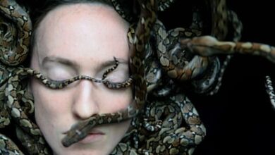 Картины великих мастеров вместо денег: как искусство стало валютой на Канарах RUSSPAIN.COM