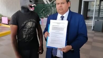 В Барселоне подростки массово выбирают необычную идентичность животных RUSSPAIN.COM