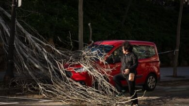 Каталонский бизнес под угрозой: штормы парализуют экономику региона RUSSPAIN.COM