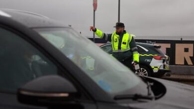 В Мостолесе задержали десятки водителей без прав на экзамене RUSSPAIN.COM