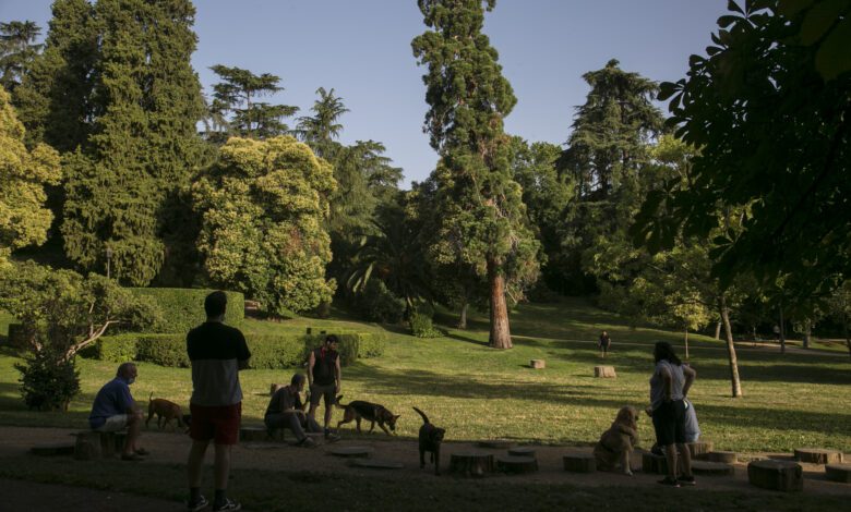 Madrid prepara eventos gratuitos carnaval jazz y paseos en febrero