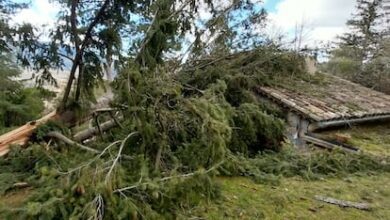 Экстренное оповещение в Каталонии: штормовой ветер парализует юг Таррагоны RUSSPAIN.COM