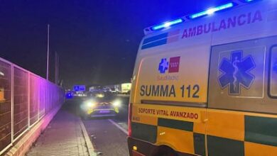 Собака спасает женщину в Валенсии: нападение и задержание банды RUSSPAIN.COM