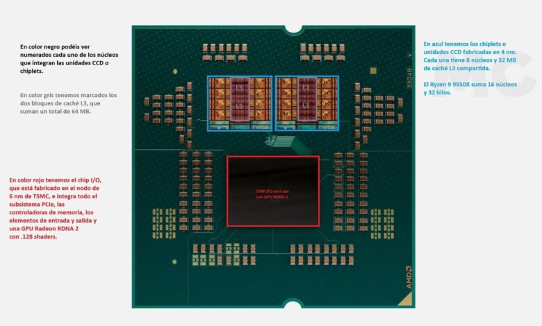 AMD Changes the Game: 6-Core Processors to Enter the Budget Segment with Zen 6