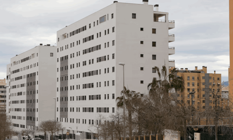 Scandal in Alicante: Official Suspended Over Questionable Housing Allocation