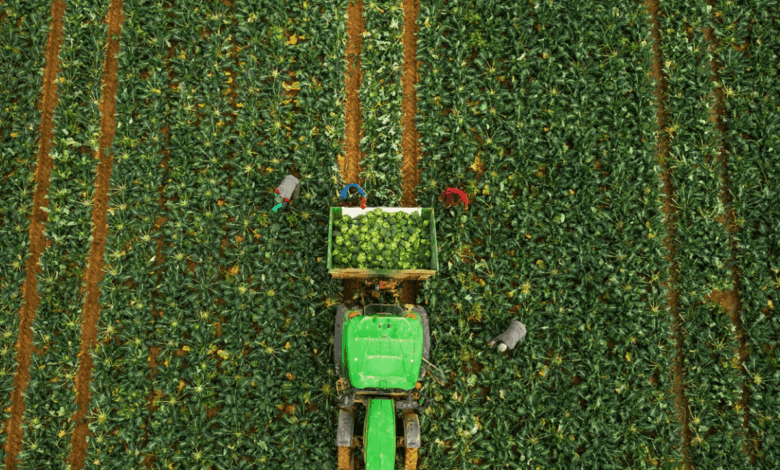 Agrarian Conflict in Aragon Political Struggle Over Mercosur and the Ebro