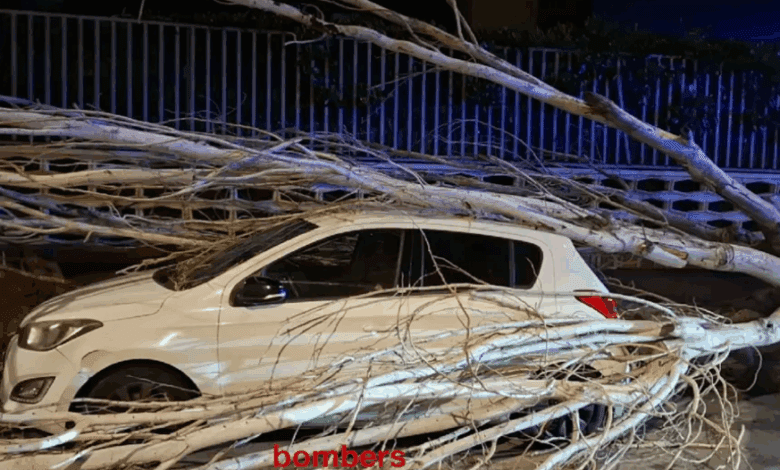 Anomalous Arctic Front Paralyzes Transport and Schools as Spain Braces for Severe Weather