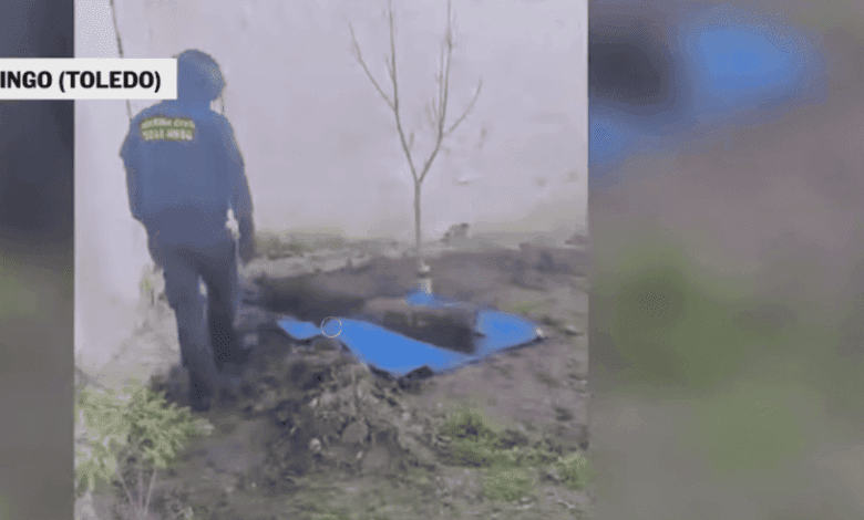 Unexpected war artifact found in a private yard in Toledo