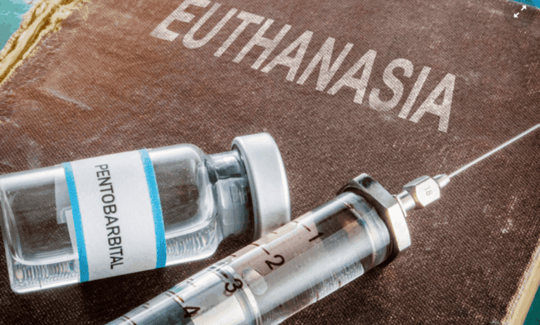 Испанский суд поддержал право на эвтаназию вопреки протесту семьи