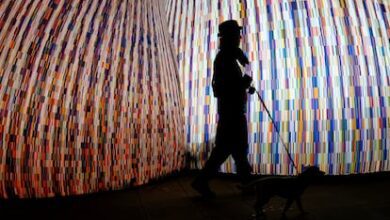 Световые инсталляции Llum BCN вызвали ажиотаж в Poblenou: неожиданные эффекты и рекордные толпы RUSSPAIN.COM