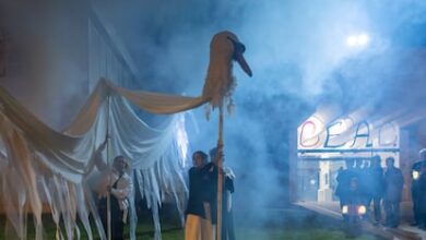 Внезапная смена руководства в Fundación Miró: что стоит за решением RUSSPAIN.COM