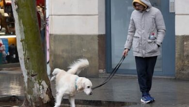 Барселона ужесточает контроль: новые штрафы за нарушение порядка RUSSPAIN.COM