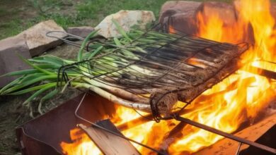 Скандал вокруг каталонских calçots: почему вся Испания обсуждает сезон луковиц RUSSPAIN.COM