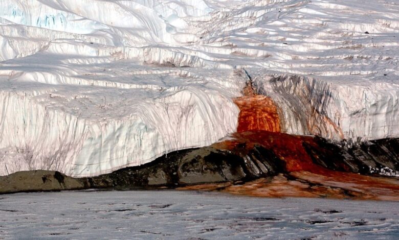 Ученые раскрыли загадку кровавых водопадов в Антарктиде и их необычное происхождение