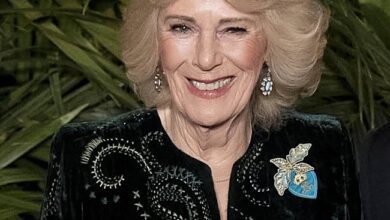 Королевский дуэт: тайные послания в украшениях Камиллы и Софии Эдинбургской RUSSPAIN.COM