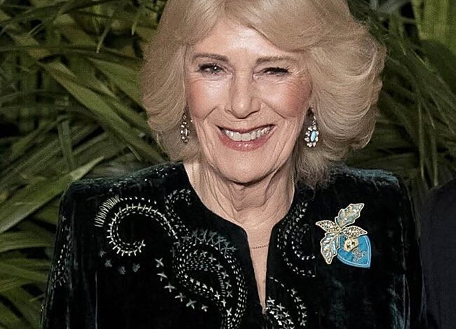 Dúo real mensajes ocultos en las joyas de Camilla y Sofía de Edimburgo