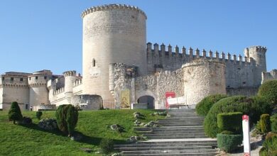 ΠΠΈΠ³Π°Π½Ρ ΡΡΠ΅Π΄ΠΈ Π΄Π΅ΡΠ΅Π²Π΅Π½Ρ: Π½Π΅ΠΎΠΆΠΈΠ΄Π°Π½Π½ΡΠΉ Π»ΠΈΠ΄Π΅Ρ ΠΏΠΎ ΠΏΠ»ΠΎΡΠ°Π΄ΠΈ Π² Π‘Π΅Π³ΠΎΠ²ΠΈΠΈ RUSSPAIN.COM