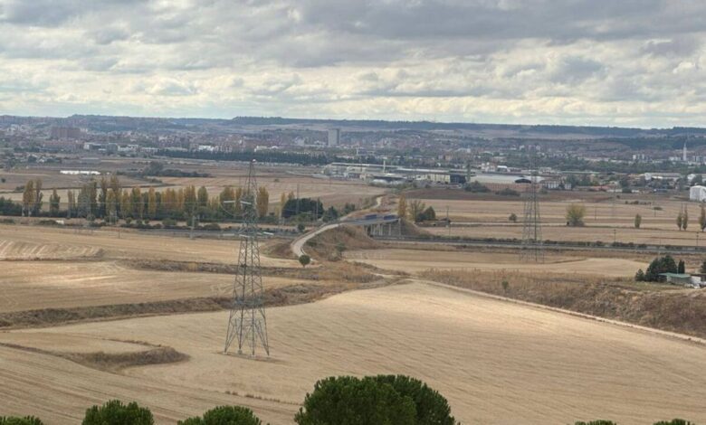 Galician authorities halt major pulp mill project in Lugo