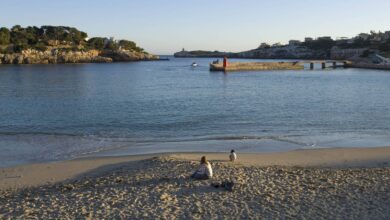 Два миллиона евро и провал: почему Манакор остался без подводного музея RUSSPAIN.COM