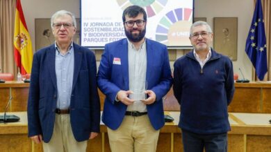 Скандальный успех: солнечная станция в Толедо получает высшую награду за экологию RUSSPAIN.COM