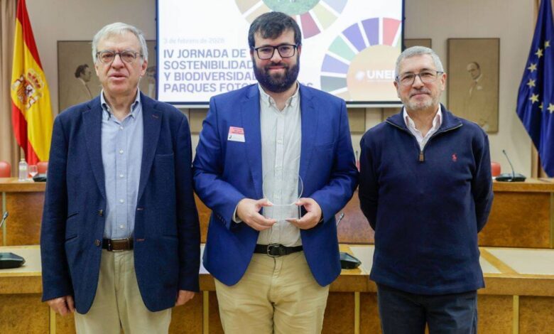 Scandalous Success: Solar Plant in Toledo Wins Top Environmental Award