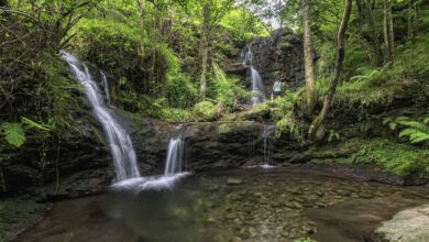 Зимняя тропа с 20 водопадами в сердце Кантабрии удивила даже местных