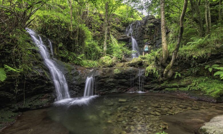 Winter trail with 20 waterfalls in the heart of Cantabria surprises even locals