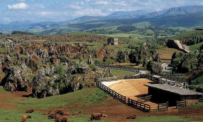 Forgotten Railway in Cantabria Walking Through the Traces of Industrial Heritage