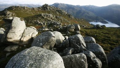 На границе двух миров: уникальный природный парк Испании поражает контрастами