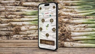 Новая карта ресторанов: где найти лучшие calçots в Каталонии RUSSPAIN.COM