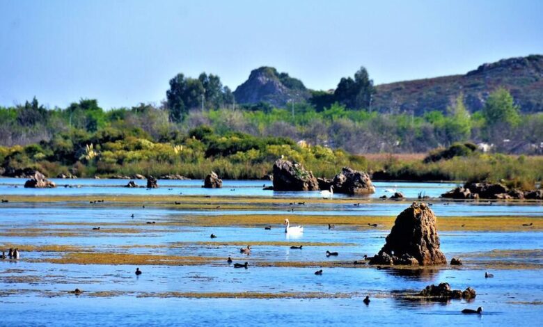 Unique Nature Reserve for Birdwatching Discovered in Cantabria