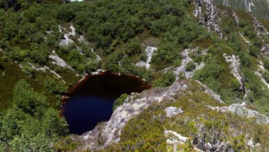 В Астурии обнаружен скрытый природный парк с уникальной экосистемой RUSSPAIN.COM