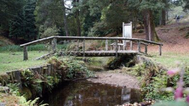 Забытый маршрут Галисии: почему тропа Монте-Алойя удивляет даже опытных туристов RUSSPAIN.COM