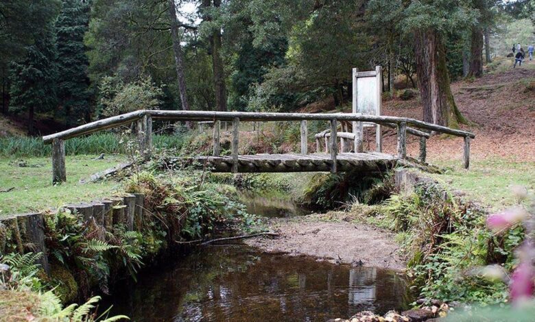 The Forgotten Route of Galicia: Why the Monte Aloya Trail Surprises Even Seasoned Hikers