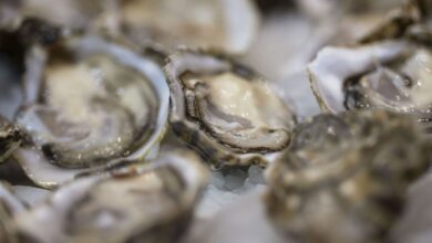 ΠΡΠΏΠ°Π½ΡΠΊΠΈΠ΅ ΡΡΡΡΠΈΡΡ ΠΏΠΎΠ΄ Π·Π°ΠΏΡΠ΅ΡΠΎΠΌ: ΠΌΠ°ΡΡΠΎΠ²ΠΎΠ΅ ΠΎΡΡΠ°Π²Π»Π΅Π½ΠΈΠ΅ Π² ΠΠΎΠ½ΠΊΠΎΠ½Π³Π΅ Π²ΡΠ·ΡΠ²Π°Π΅Ρ ΡΡΠ΅Π²ΠΎΠ³Ρ RUSSPAIN.COM