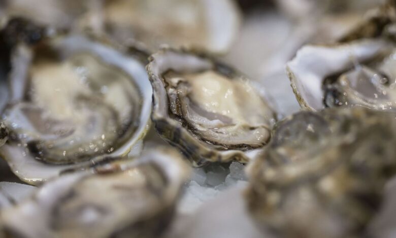 Spanish oysters banned as mass poisoning in Hong Kong raises alarms