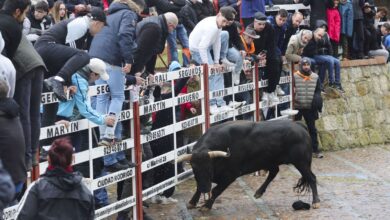 Трагедия на празднике: гибель мужчины на Карнавале быка в Сьюдад-Родриго RUSSPAIN.COM