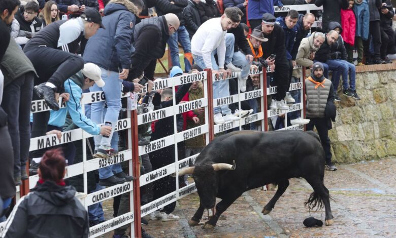 Tragedy at the Festival: Man Dies at Bull Carnival in Ciudad Rodrigo