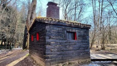 Неожиданный север в сердце Испании: загадочный лес