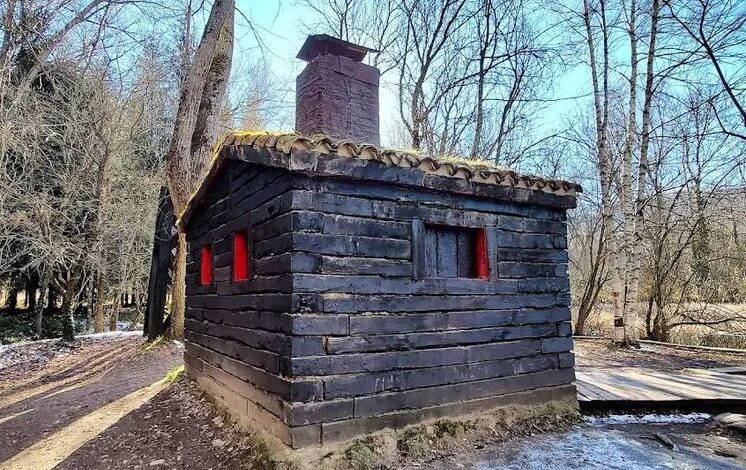 Неожиданный север в сердце Испании: загадочный лес, который удивляет даже местных