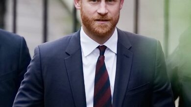 Пять должностей для Гарри: почему принц отверг все предложения семьи RUSSPAIN.COM