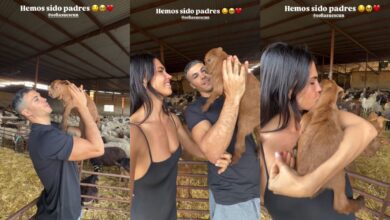 София Сескун и Кико Хименес удивили поклонников новым семейным статусом после поездки RUSSPAIN.COM