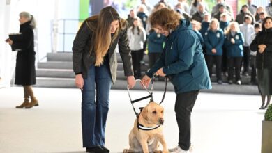Внезапные эмоции на дне рождения Фелипе VI: семейный обед в тени недавней утраты